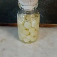 خاویار حلزون|خزنده|ساوه, |دیوار