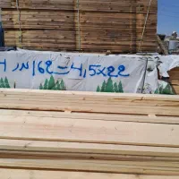 چوب نراد روس ۳ متری و۴متری