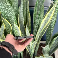 14 Pro Max 256 ZAA|موبایل|مشهد, بهشت|دیوار