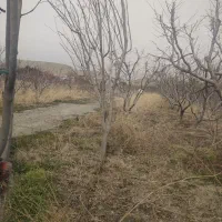 700-زمین-ویلایی-صنعتی-کهنز