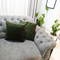 دو عدد رویه کوسن سبز تیره