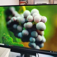 مانیتور ۲۲ فرم لس Lenovo full HD