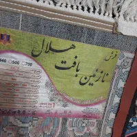 فرش ۱۲متری در حد نو|فرش|رشت, حمیدیان|دیوار