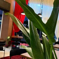 دورهمی و فضای مطالعه