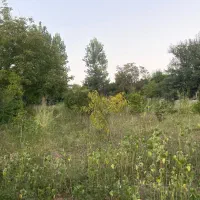 فروش خونه باغ ۱۶۲۴متر باامکانات ویوابدی جاده نظامی|فروش خانه و ویلا|قائم‌شهر, |دیوار