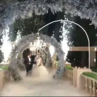 بخار سرد با یخ