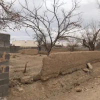 زمین تک برگ سند