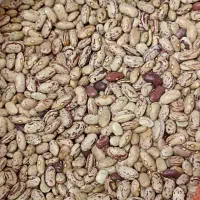 لوبیا چیتی درجه یک زود پز|خوردنی و آشامیدنی|قم, علی آباد سعدگان|دیوار