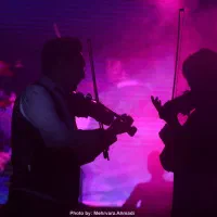 ویولن حرفه ای