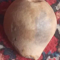 سینی وجاروبرقی وچاقوقدیمی|کلکسیون اشیاء عتیقه|بهار, |دیوار