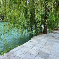 اجاره انواع ویلا و سویت باغبادران باغبهادران