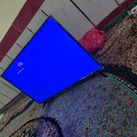 تلویزیونLED سام 43اینج نونو شکار|تلویزیون و پروژکتور|گنبد کاووس, |دیوار