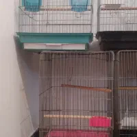 قفس ۱۰۳۳|لوازم جانبی حیوانات|مشکین‌دشت, |دیوار