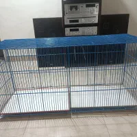 قفس|لوازم جانبی حیوانات|قزوین, |دیوار