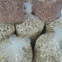 بادام زمینی تازه قیمت کیلویی۳۲۰ خرده به قیمت عمده