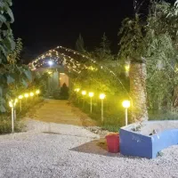 کافه خانوادگی مجنون