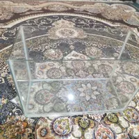 آکواریوم فروشی