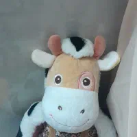 عروسک|اسباببازی بچه|قم, چهل درخت|دیوار