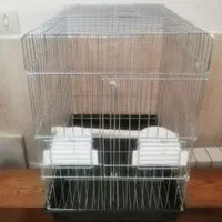 قفس طوطی مینا عروس هلندی قناری مرغ عشق تک و تعداد