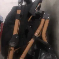 کالسکه دلیجان درحد نو
