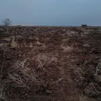 زمین کشاورزی حدودا 1 هکتار (9000 متر)  با سهم آب|فروش دفتر صنعتی، کشاورزی، تجاری|تاکستان, |دیوار