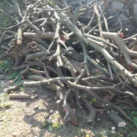 یک کامیون پر|خودرو سنگین|چابکسر, |دیوار