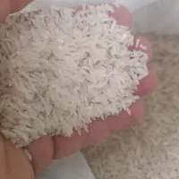 برنج ایرانی طارم فجر