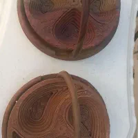 تزئینی|دوچرخه، اسکیت، اسکوتر|همدان, |دیوار