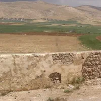 اجاره زمین کشاورزی