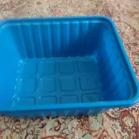 تعدادی ظرف بسته بندی قارچ به فروش میرسد