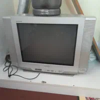 تلویزیون