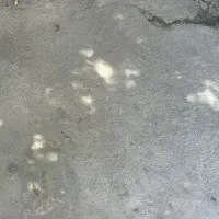 یک قطعه زمین دویست متری سند تک برگ جای خوب در تیس