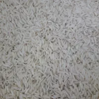 فروش برنج هاشمی