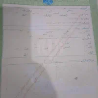 زمین دو بر 335 متری در تقیآباد جنوبی|فروش زمین و ملک کلنگی|گنبد کاووس, |دیوار