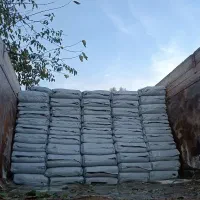 باسلام خدمت دامداران