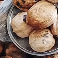 گردو خشک|خوردنی و آشامیدنی|اندیکا, |دیوار