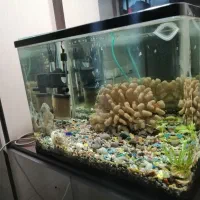 آکواریوم شیشه خم 50*40