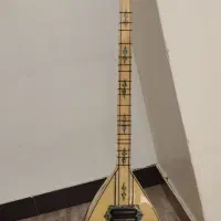 باغلما الکتریکی|سازهای بادی|مهاباد (آذربایجان غربی), |دیوار