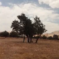 زمین تجاری مخصوص سفره خونه نوراباد جاده بوان|فروش زمین و ملک کلنگی|نورآباد ممسنی, |دیوار