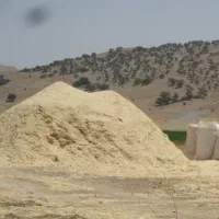فروش کاه امسال به قیمت مناسب درب انبار