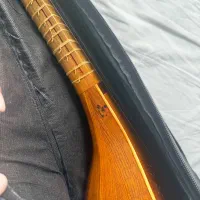 سه تار فریده