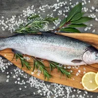 ماهی قزل آلا تازه درجه یک به شرط و تضمین بالا