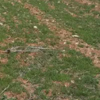 ۲۰۰مترزمین مسکونی کلواری علیا|فروش زمین و ملک کلنگی|فلارد, |دیوار