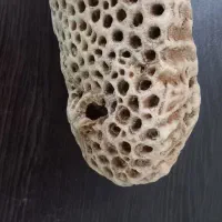 سنگ تزئینی زیبا