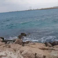 دامون-ساحلی