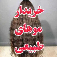خریدار موهای طبیعی شما با بهترین و بالا ترین قیمت