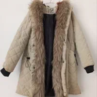 پالتو و مبل