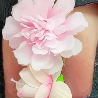 تغییر رنگ هاله سینه صورتی و رفع تیرگی(تخفیف)