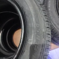 لاستیک سمند(گهر)