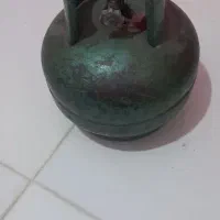 پیک نیک فروشی